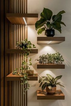 three wooden shelves with plants on them in the corner next to a wall mounted light