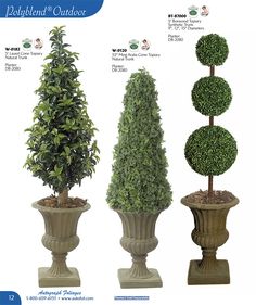 three potted trees in different shapes and sizes are shown with information about the topiary