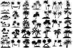 the silhouettes of palm trees and other tropical plants are shown in this black and white image