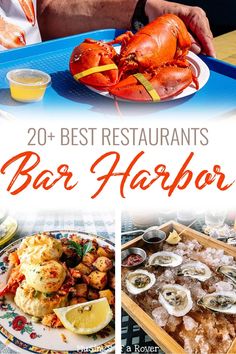 the best restaurants in bar harbor