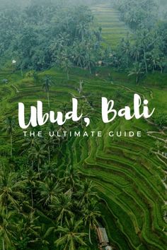 an aerial view of rice fields and palm trees with the words ubud, bali on