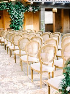 rows of chairs lined up in front of a building with ivy growing on the walls