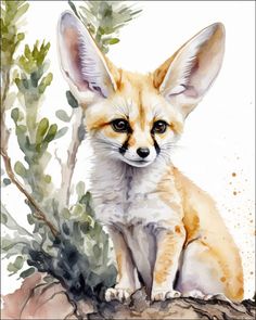 a watercolor painting of a fox sitting on top of a tree branch and looking at the camera