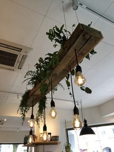 some lights hanging from a wooden beam with plants growing on it in the middle of a room