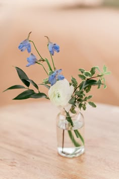 a glass vase with some flowers in it