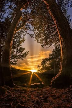 the sun is shining through some trees and there are words that say have lovely day