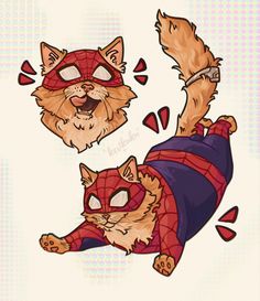 an image of two cats that are in the shape of spiderman and catwoman