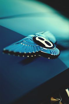 a close up view of the emblem on a blue car with black and white letters