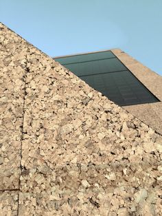 a bird is sitting on the ledge of a building