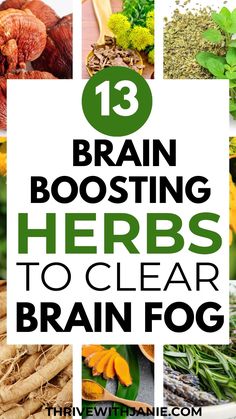 Highest Good Healthy Brain Experiencing brain fog? These Herbs for Brain Fog help to improve memory and clear brain fog. Boost brain function naturally. Solve Problems Improve Memory Brain FunctionAre you experiencing brain fog? These Herbs for Brain Fog help improve memory and clear brain fog. They also boost Brain Health Natural Medicine Nutrition For Brain Health, How To Heal Your Brain, Energy Boosting Herbs, Essential Oils For Brain Fog, Foods That Improve Memory, Brain Diet