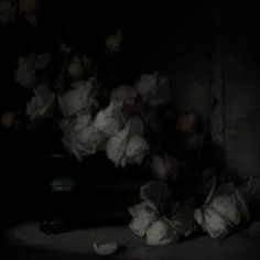 a bunch of flowers that are sitting on the ground in front of a wall with dark lighting