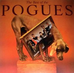 the best of the pogues album cover with an image of a dog looking at it