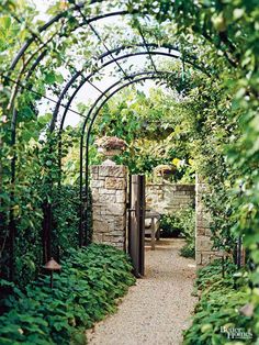 an archway in the middle of a garden with lots of greenery on either side