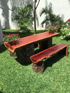 a wooden bench sitting on top of a lush green grass covered field next to a tree