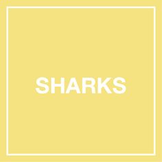 the words sharks in white are against a yellow background with a square frame on it