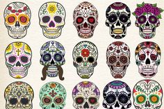 several skulls with different colors and designs on them