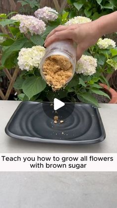 someone pouring sugar into a flower pot on top of a black plate with white flowers in the background