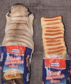 a pug dog laying on top of a couch next to two bags of food