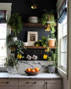 a bowl of oranges sitting on top of a kitchen counter next to potted plants