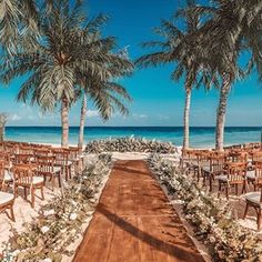 an outdoor ceremony setup on the beach with chairs and palm trees lined up along the aisle