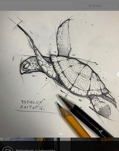 a pencil drawing of a turtle on top of a piece of paper next to a marker