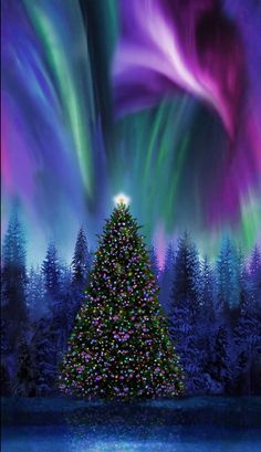 a christmas tree with aurora lights in the background