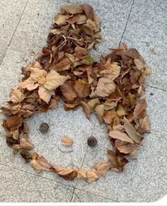 leaves are arranged in the shape of a woman's face on the ground next to two pebbles