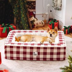 a dog is laying in his bed on the floor next to christmas decorations and presents