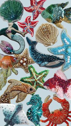 many different types of sea animals are shown in this image, including starfishs and seashells