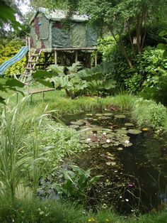 a pond surrounded by lush green plants and trees