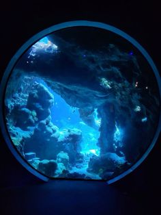 an aquarium filled with lots of water and rocks