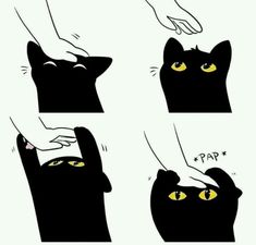 Dessin Adorable, Sphynx, Black Cats, 귀여운 동물, Animal Memes, Crazy Cats, Funny Cute, Cat Memes