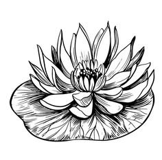 a black and white drawing of a flower with leaves on it's petals is shown