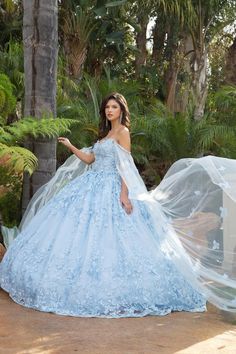 Bella Princess, Princess Couture, Cape Sleeve Dress, Butterfly Applique, Military Ball Dresses, Quince Dress, Champagne Dress, 3d Butterfly, Illusion Dress