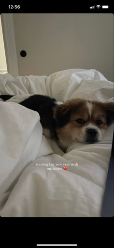 a small dog laying on top of a bed covered in white sheets with a quote above it