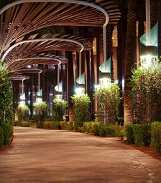 the walkway is lined with trees and bushes at night time, along with street lights