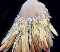 the back of a woman's dress with feathers on it