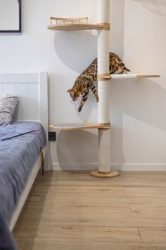 a cat climbing up the side of a tree in a room with white walls and wood floors