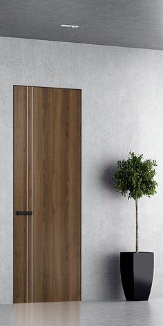 a potted plant sitting next to a wooden door in an empty room with concrete walls