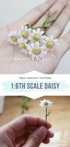 a hand holding a small white flower on it's palm with the text, free crochet pattern 1 - 6th scale daisy