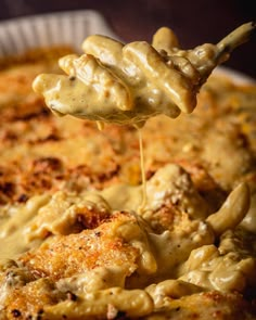 a spoon full of macaroni and cheese being lifted from a casserole dish