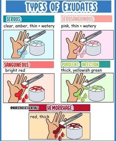 instructions on how to use chopsticks in cooking