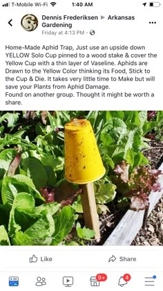 a yellow lamp sitting in the middle of a garden