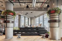 an office with large windows and lots of plants on the wall, along with wooden flooring