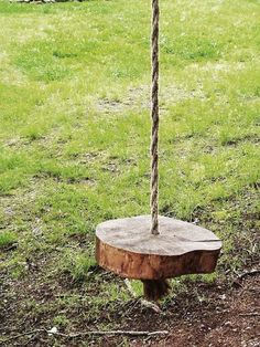 a tree stump swing in the middle of a grassy field with a rope hanging from it