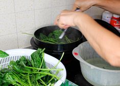 a person is stirring greens in a pot on the stove