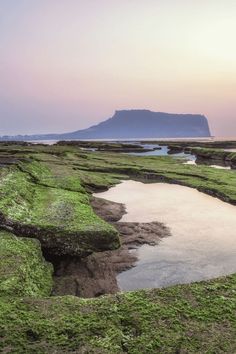 Seongsan Ilchulbong Jeju island South Korea Jeju Island South Korea, Jeju Island, Island Design, The Sunrise, Opening Hours, Island Travel, Iconic Landmarks, Unesco World Heritage, Unesco World Heritage Site