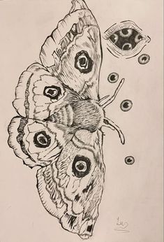 a drawing of a butterfly with eyes on it's wings