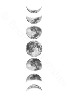 five phases of the moon in black and white with one half turned to different directions