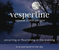 a poster with the words vespertime in front of a night sky and trees